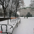 IMG_9810.jpg