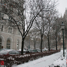 IMG_9813.jpg