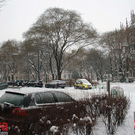 IMG_9814.jpg