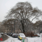 IMG_9815.jpg