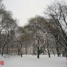 IMG_9816.jpg