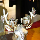 normal_03032012_fmt_tracht_ta_010.JPG