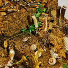 normal_03032012_fmt_tracht_ta_022.JPG