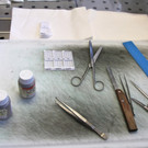 KOE_Exkursion LKHF 8_jpg-1330855944