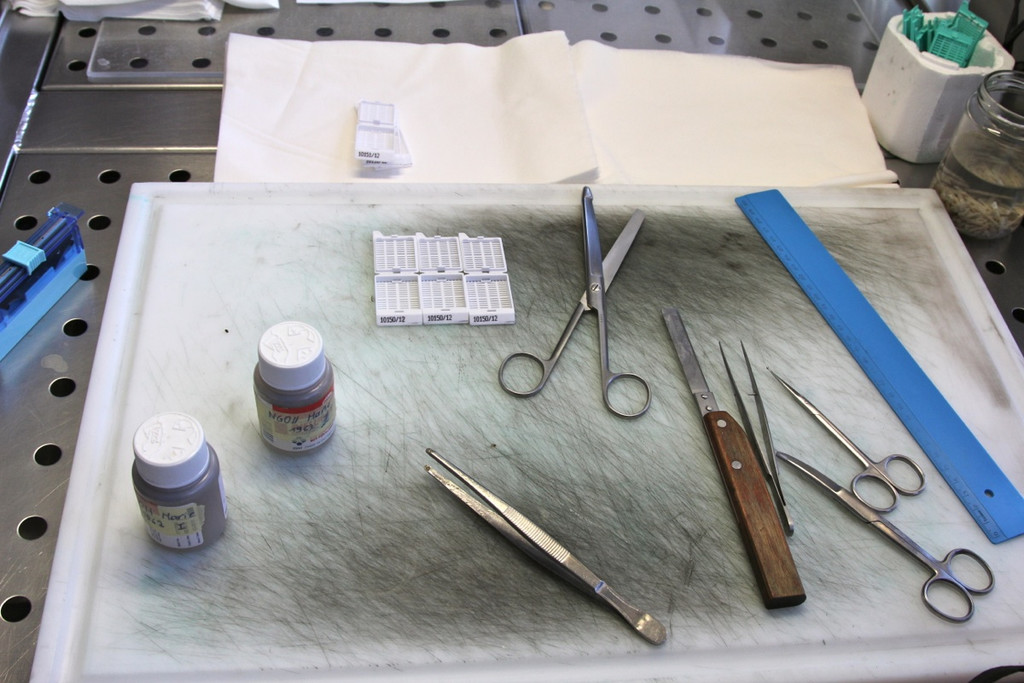 KOE_Exkursion LKHF 8_jpg-1330855944