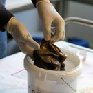 KOE_Exkursion LKHF 9_jpg-1330855948