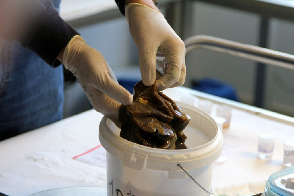 KOE_Exkursion LKHF 9_jpg-1330855948