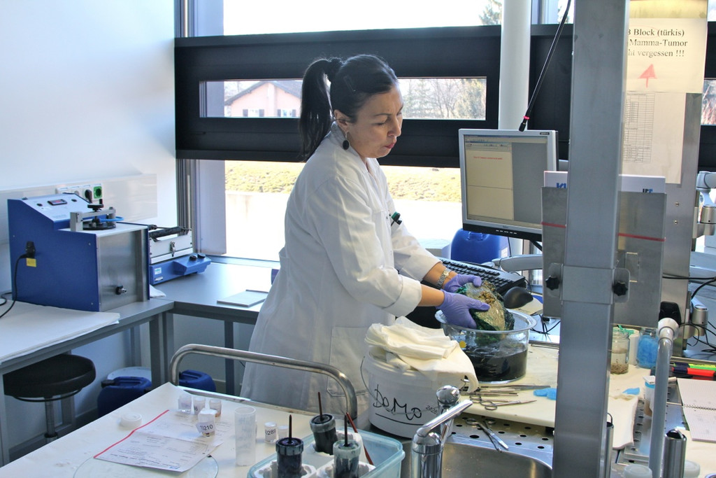 KOE_Exkursion LKHF 10_jpg-1330855954