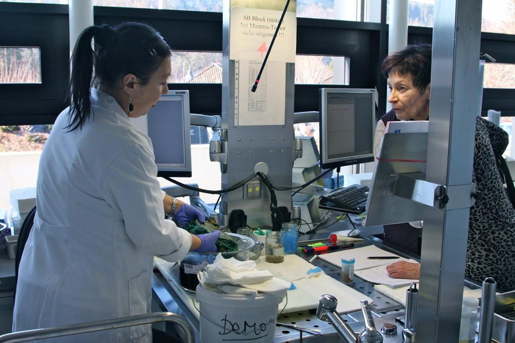 KOE_Exkursion LKHF 11_jpg-1330855961