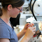 KOE_Exkursion LKHF 12_jpg-1330855966