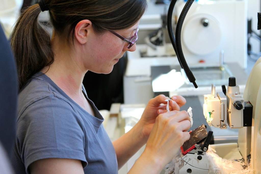 KOE_Exkursion LKHF 12_jpg-1330855966