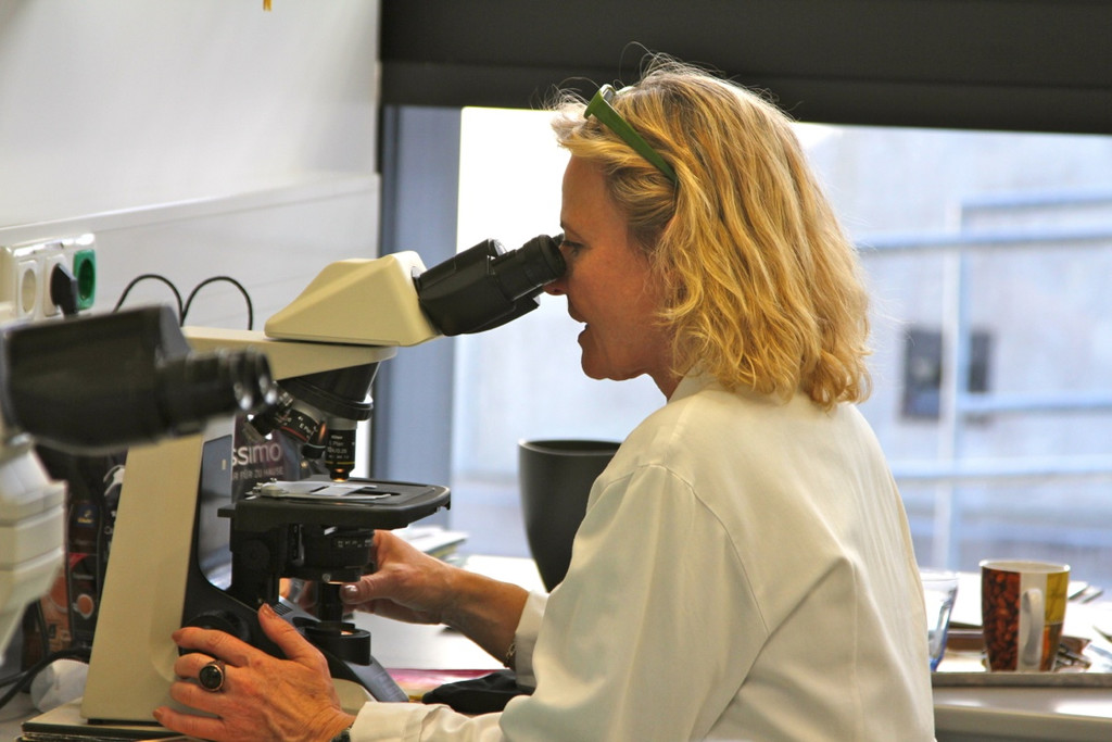 KOE_Exkursion LKHF 14_jpg-1330855976