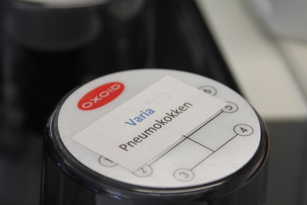 KOE_Exkursion LKHF 16_jpg-1330855986