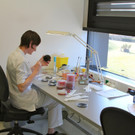 KOE_Exkursion LKHF 17_jpg-1330855990