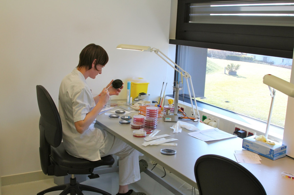 KOE_Exkursion LKHF 17_jpg-1330855990