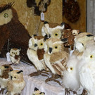 normal_03032012_fmt_creativ_ta_011.JPG