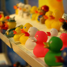 normal_03032012_fmt_creativ_ta_017.JPG