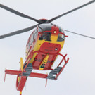 040312lawieneat04001aktivnews31.JPG