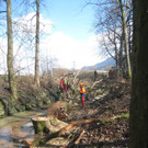 Ruggbach Holzarbeiten 2012 _5__jpg-1330859758