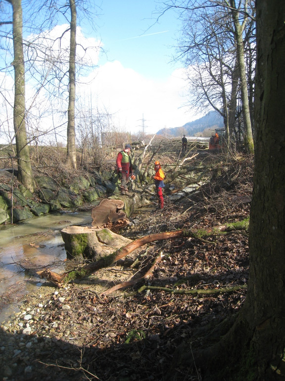Ruggbach Holzarbeiten 2012 _5__jpg-1330859758