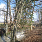 Ruggbach Holzarbeiten 2012 _8__jpg-1330859779