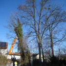 Ruggbach Holzarbeiten 2012 _13__jpg-1330859810