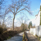 Ruggbach Holzarbeiten 2012 _24__jpg-1330859874