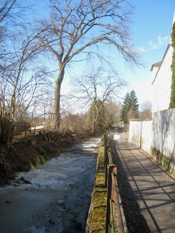 Ruggbach Holzarbeiten 2012 _24__jpg-1330859874