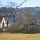Ruggbach Holzarbeiten 2012 _26__jpg-1330859884