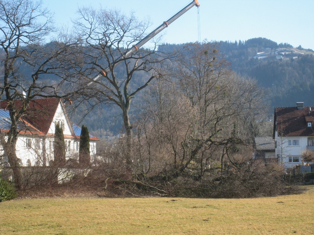 Ruggbach Holzarbeiten 2012 _26__jpg-1330859884