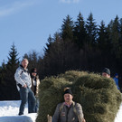 DSC01502.JPG
