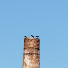 _DSF4336.JPG