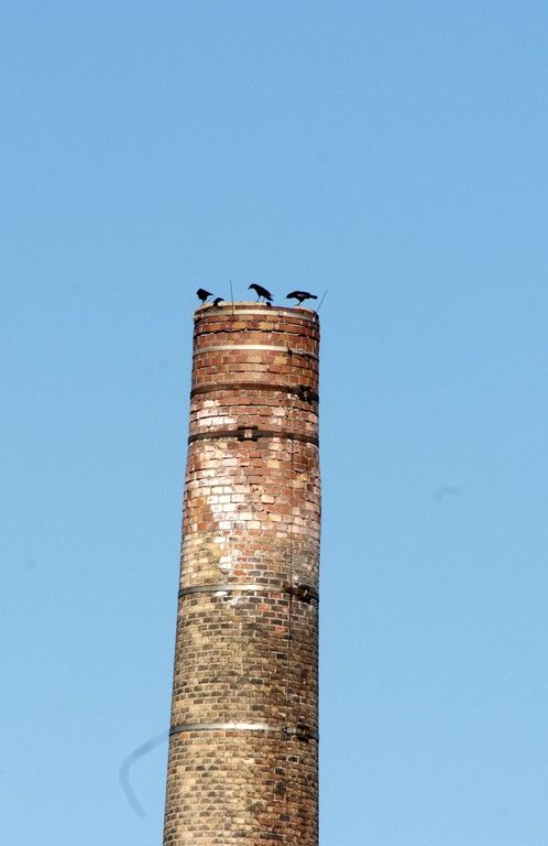 _DSF4336.JPG