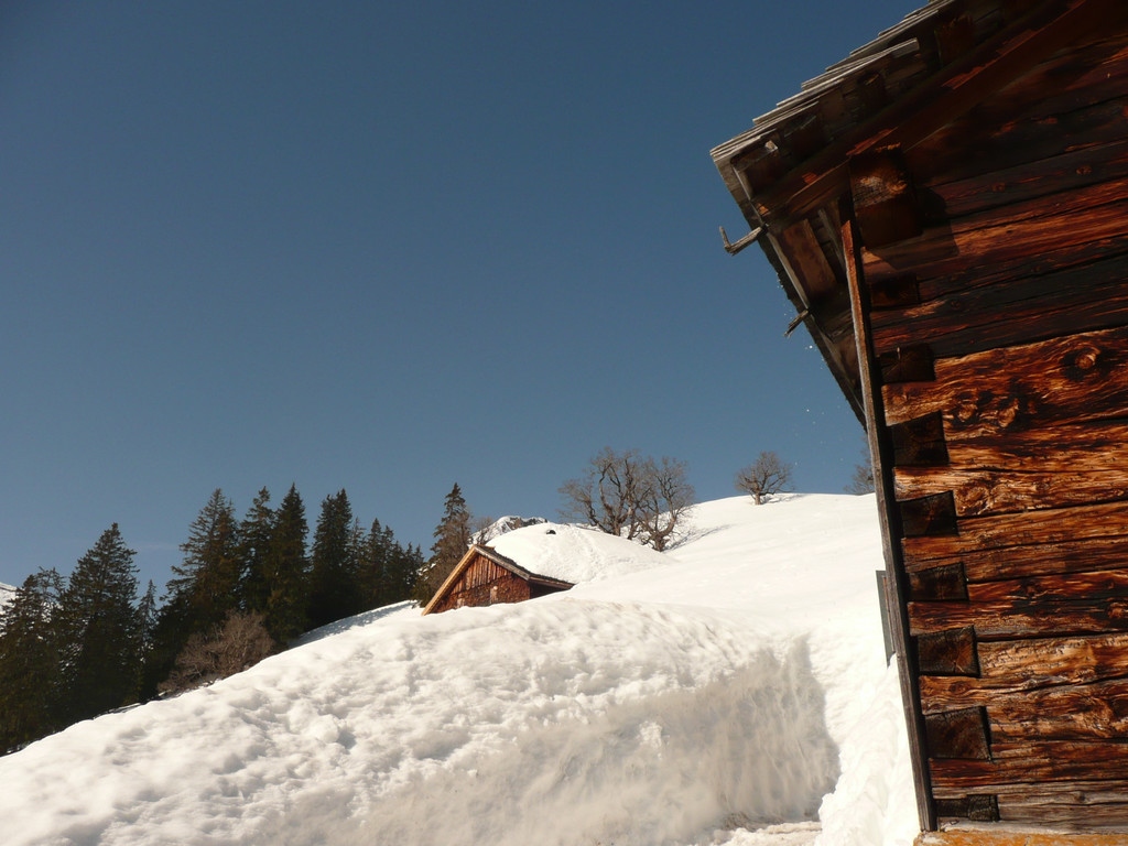 P1090637.JPG