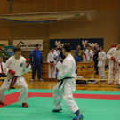 IMGP0344.jpg
