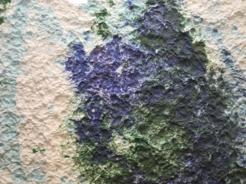 DSCN0841_jpg-1330931630