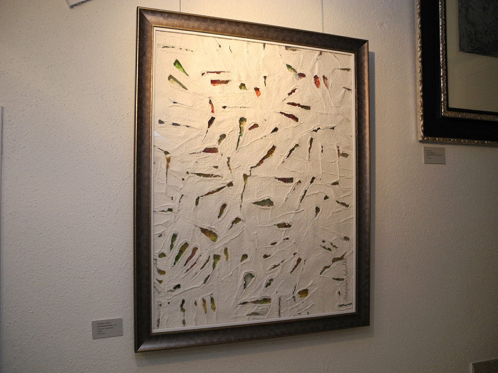 DSCN0842_jpg-1330931647