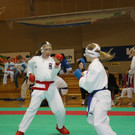 IMGP0312.jpg