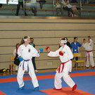 IMGP0331.jpg