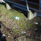 Feb 29 009.JPG