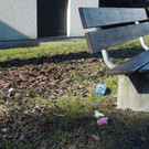 Feb 29 010.JPG