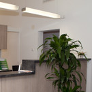 IMG_5360_jpg-1330951749