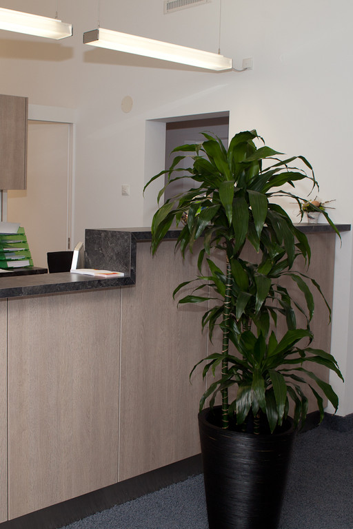 IMG_5360_jpg-1330951749