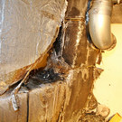 normal_05032012fmt_brandmaxglan_mw_12.JPG
