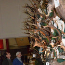 DSC_5972.jpg