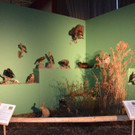 DSC_5976.jpg