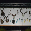 DSC_6060.jpg