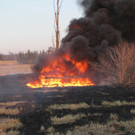 05032012_Flurbrand Strasshof _1_.JPG