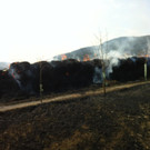 05032012_Heuballenbrand in Willendorf _1_.JPG