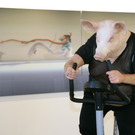 art_karlsruhe02_jpg-1331054053